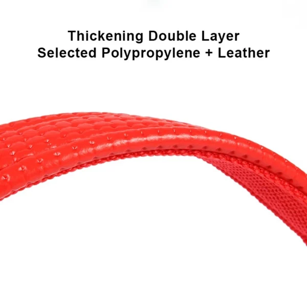 Nylon Collar for Dogs and Cats