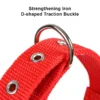 Nylon Collar for Dogs and Cats