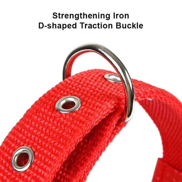 Nylon Collar for Dogs and Cats