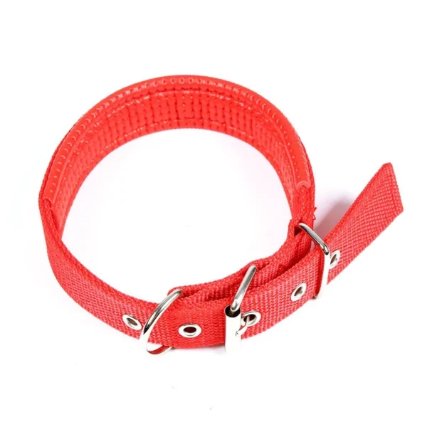 Nylon Collar for Dogs and Cats
