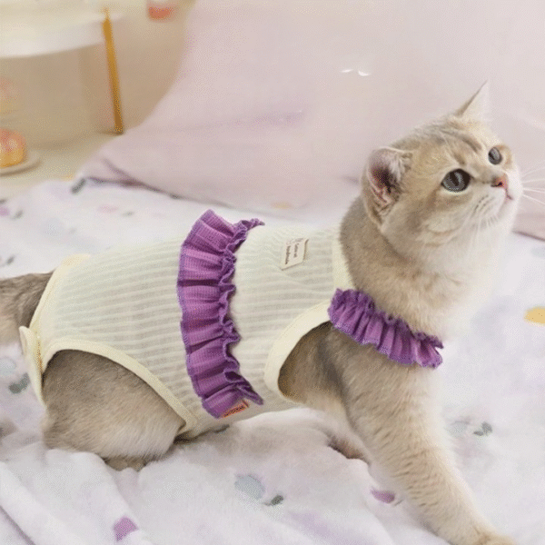 Pet Clothes Comfortable Cotton Pet Cat Cloth Pet Supplies Eco-friendly