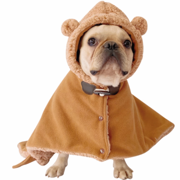 Luxury Modern Cotton Pet Clothes Puppy and Cat Apparel for Autumn Winter Dog Cloth