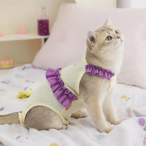 Pet Clothes Comfortable Cotton Pet Cat Cloth Pet Supplies Eco-friendly