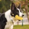 New Dog Toy Yellow Corn Squeaky Pet Chewing Toy Toothbrush Cleaning Back Teeth Indestructible Tough Doy Interactive Rubber Toy