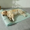 Large Summer Pet Cooling Mat for Golden Retriever Dogs Bed with Cartoon Animal Print Cool Dog Sleeping Pad for Summer