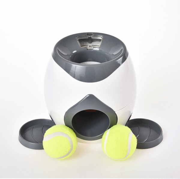 Game for Cats Interactive Movement Toy