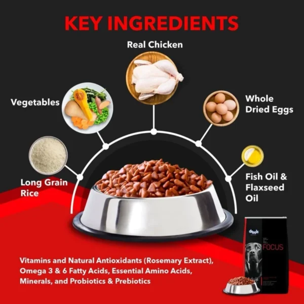 Drools Focus Super Premium Dry Dog Food 1.2KG  (Adult)