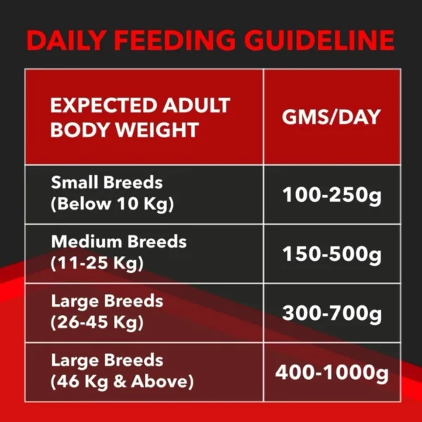 Drools Focus Super Premium Dry Dog Food 1.2KG  (Adult)